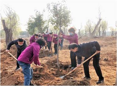 春回大地催新綠 植樹造林正當(dāng)時     中公監(jiān)理組織職工開展義務(wù)植樹活動